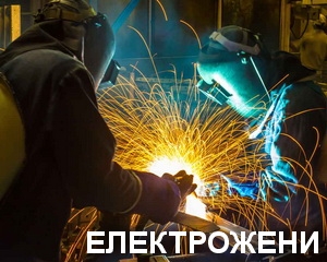 Електрожени